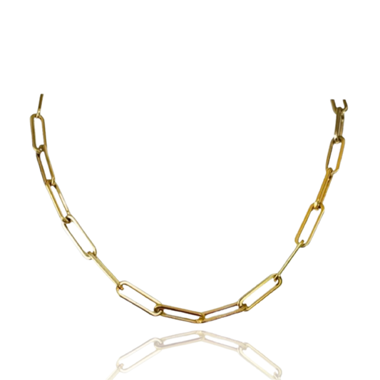 Non-tarnish, waterproof 14K gold plated stainless steel paper clip chain. Necklace comes in either 20 inch or 22 inch.